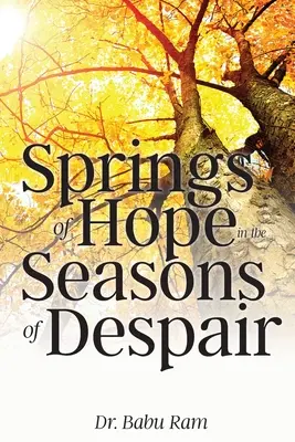 A remény forrásai a kétségbeesés időszakában - Springs of Hope in the Seasons of Despair