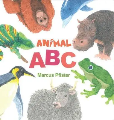 Állati ABC - Animal ABC