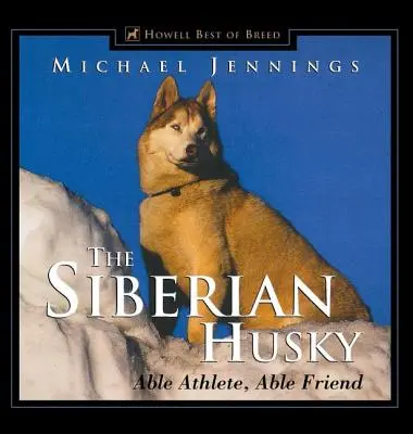 A szibériai husky: Husky Husky Husky: Able Athlete, Able Friend - The Siberian Husky: Able Athlete, Able Friend