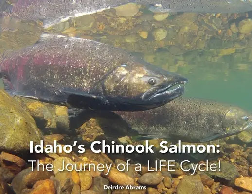 Idaho Chinook Salmon: Egy életciklus útja - Idaho's Chinook Salmon: The Journey of a LIFE Cycle