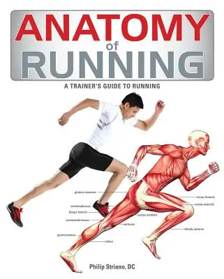 A futás anatómiája - Anatomy of Running