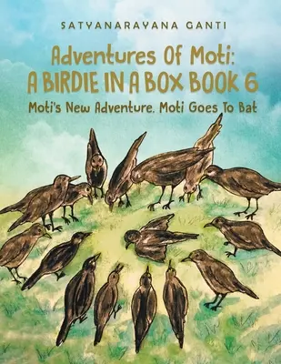 Moti kalandjai Egy madárka a dobozban 6. könyv: Moti új kalandja. Moti Goes To Bat - Adventures Of Moti A Birdie In A Box Book 6: Moti's New Adventure. Moti Goes To Bat