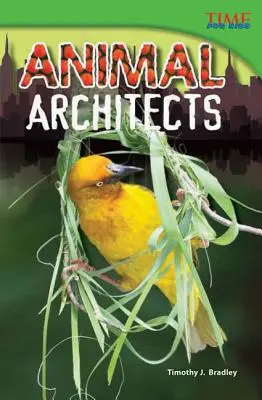 Állati építészek - Animal Architects