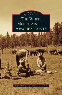 Apache megye fehér hegyei - White Mountains of Apache County