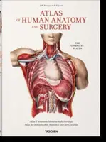 Bourgery. Az emberi anatómia és sebészet atlasza - Bourgery. Atlas of Human Anatomy and Surgery