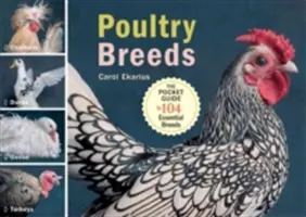 Baromfifajták: Csirkék, kacsák, libák, pulykák: Zsebkönyv 104 alapvető fajtáról - Poultry Breeds: Chickens, Ducks, Geese, Turkeys: The Pocket Guide to 104 Essential Breeds