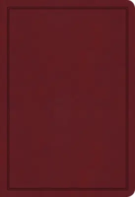 KJV Deluxe Geschenkbibel, Burgunder Lederimitat - KJV Deluxe Gift Bible, Burgundy Leathertouch