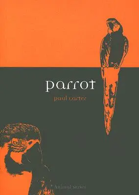 Papagáj - Parrot