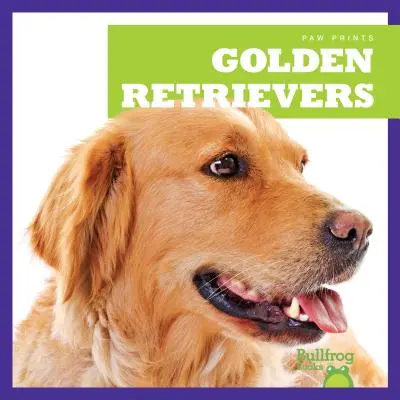 Golden retrieverek - Golden Retrievers