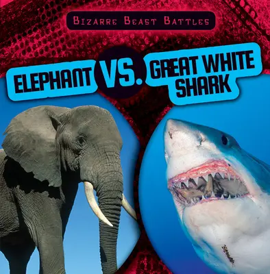 Elefánt kontra nagy fehér cápa - Elephant vs. Great White Shark