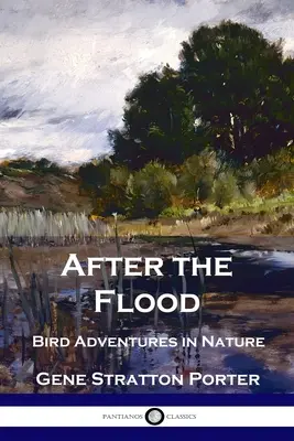 Az árvíz után: Madárkalandok a természetben - After the Flood: Bird Adventures in Nature