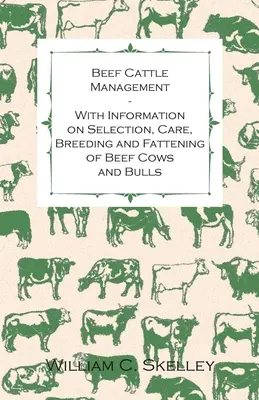 Húsmarhatartás - A húsmarhák és bikák kiválasztásával, gondozásával, tenyésztésével és hizlalásával kapcsolatos információkkal - Beef Cattle Management - With Information on Selection, Care, Breeding and Fattening of Beef Cows and Bulls