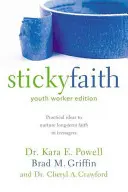 Sticky Faith, Youth Worker Edition: Gyakorlati ötletek a tinédzserek hosszú távú hitének ápolásához - Sticky Faith, Youth Worker Edition: Practical Ideas to Nurture Long-Term Faith in Teenagers