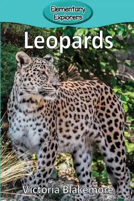 Leopárdok - Leopards