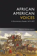 African American Voices 4e