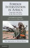 Külföldi beavatkozás Afrikában: A hidegháborútól a terrorizmus elleni háborúig - Foreign Intervention in Africa: From the Cold War to the War on Terror