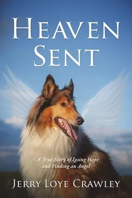 Heaven Sent: Egy igaz történet a remény elvesztéséről és az angyal megtalálásának történetéről - Heaven Sent: A True Story of Losing Hope and Finding an Angel