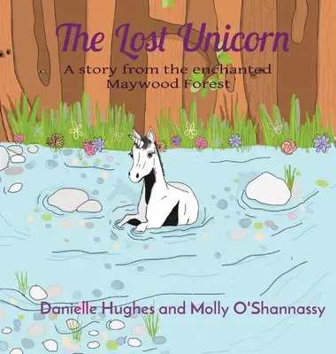 Az elveszett egyszarvú: Egy történet az elvarázsolt Maywoodi erdőből - The Lost Unicorn: A story from the enchanted Maywood Forest