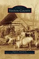 Vinton megye - Vinton County