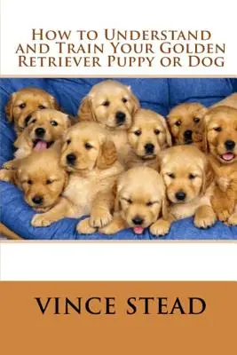 Hogyan értse meg és képezze ki a golden retriever kölyökkutyáját vagy kutyáját - How to Understand and Train Your Golden Retriever Puppy or Dog