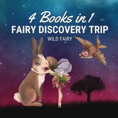Tündér felfedezőút: 4 könyv 1 könyvben - Fairy Discovery Trip: 4 Books in 1