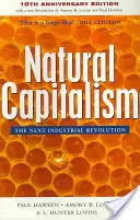 Természetes kapitalizmus: A következő ipari forradalom - Natural Capitalism: The Next Industrial Revolution