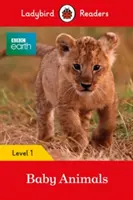 BBC Earth: Baby Animals - Ladybird Readers 1. szint - BBC Earth: Baby Animals - Ladybird Readers Level 1