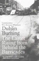 Dublin Burning: A húsvéti felkelés a barikádok mögül - Dublin Burning: The Easter Rising from Behind the Barricades