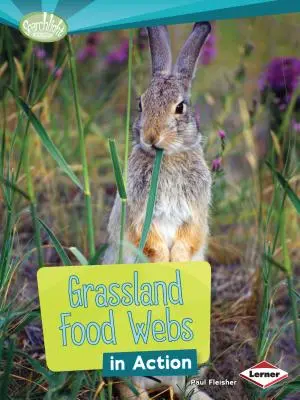 A füves területek táplálékhálózata működés közben - Grassland Food Webs in Action