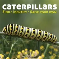 Hernyók: Találd meg, azonosítsd, neveld fel a sajátodat - Caterpillars: Find, Identify, Raise Your Own