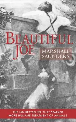 Beautiful Joe (Puhakötés) - Beautiful Joe (Paperback)