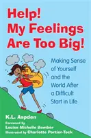 Help! Az érzéseim túl nagyok!: Önmagad és a világ értelmezése egy nehéz életkezdet után - Help! My Feelings Are Too Big!: Making Sense of Yourself and the World After a Difficult Start in Life