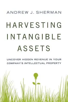 Az immateriális javak betakarítása: A vállalat szellemi tulajdonában rejlő rejtett bevételek feltárása - Harvesting Intangible Assets: Uncover Hidden Revenue in Your Company's Intellectual Property