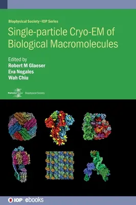 A biológiai makromolekulák egyrészecske-krio-EM-je - Single-particle Cryo-EM of Biological Macromolecules