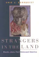 Idegenek a földön: Feketék, zsidók, a holokauszt utáni Amerika - Strangers in the Land: Blacks, Jews, Post-Holocaust America