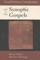 Társadalomtudományi kommentár a szinoptikus evangéliumokhoz - Social-Science Commentary on the Synoptic Gospels