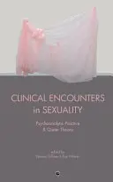 Klinikai találkozások a szexualitásban: Pszichoanalitikus gyakorlat és queer elmélet - Clinical Encounters in Sexuality: Psychoanalytic Practice and Queer Theory