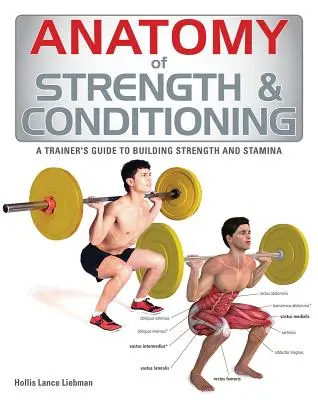 Az erőnlét és kondicionálás anatómiája - Anatomy of Strength & Conditioning