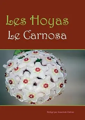 Les hoyas: Les carnosas