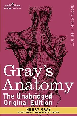 Gray anatómiája: Leíró és sebészeti - Gray's Anatomy: Descriptive and Surgical