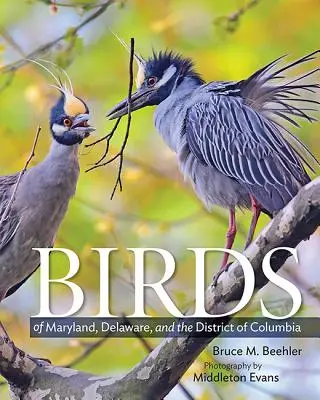 Maryland, Delaware és a Columbia körzet madarai - Birds of Maryland, Delaware, and the District of Columbia