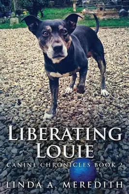 Liberating Louie: Az út Rutland felé - Liberating Louie: The Road To Rutland