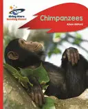 Reading Planet - Csimpánzok - Piros B: Rocket Phonics - Reading Planet - Chimpanzees - Red B: Rocket Phonics