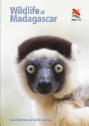 Madagaszkár vadvilága - Wildlife of Madagascar