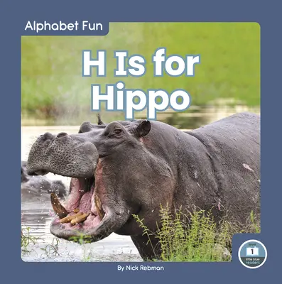 H mint víziló - H Is for Hippo