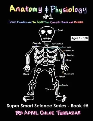 Anatómia és élettan 1. rész: Csontok, izmok és a csontokat és izmokat összekötő anyagok - Anatomy & Physiology Part 1: Bones, Muscles, and the Stuff That Connects Bones and Muscles