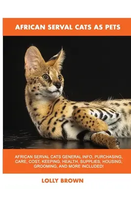 Afrikai szervál macskák, mint háziállatok - African Serval Cats as Pets