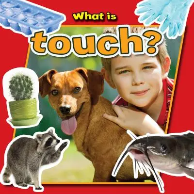 Mi az érintés? - What Is Touch?