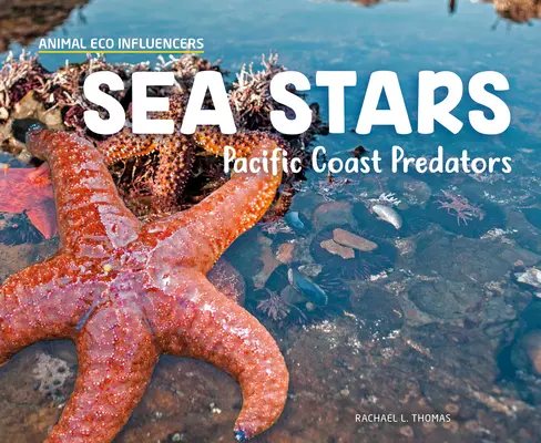 Tengeri csillagok: Csendes-óceáni parti ragadozók - Sea Stars: Pacific Coast Predators