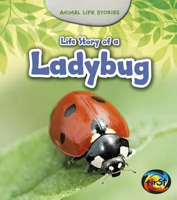 Egy katicabogár élettörténete - Life Story of a Ladybug